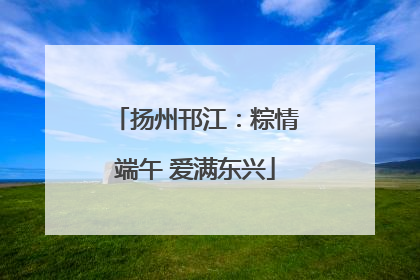 扬州邗江：粽情端午 爱满东兴