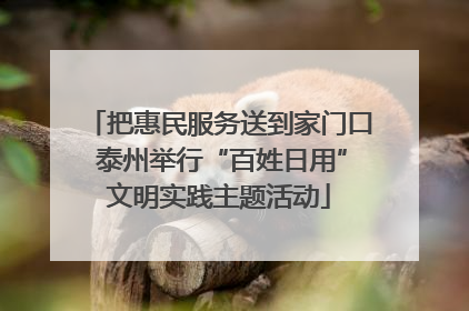 把惠民服务送到家门口 泰州举行“百姓日用”文明实践主题活动