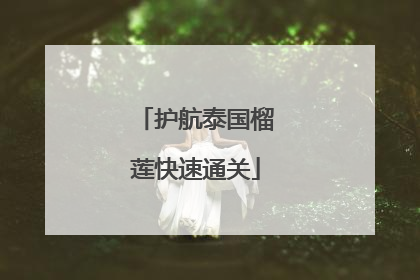 护航泰国榴莲快速通关