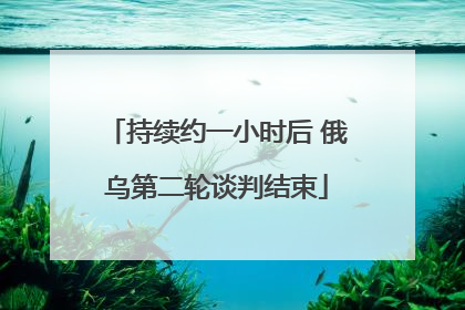 持续约一小时后 俄乌第二轮谈判结束