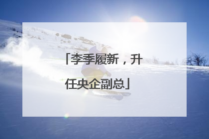 李季履新，升任央企副总