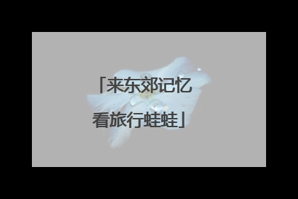 来东郊记忆 看旅行蛙蛙