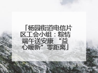 杨园街道电信片区工会小组：粽情端午送安康 “益心暖新”零距离