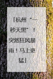 杭州“一秒天黑”！突然狂风暴雨！马上更猛