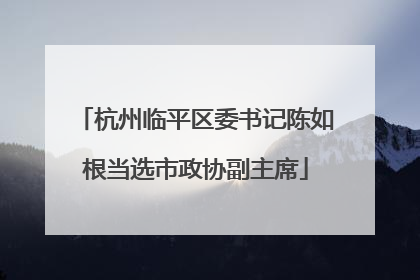 杭州临平区委书记陈如根当选市政协副主席