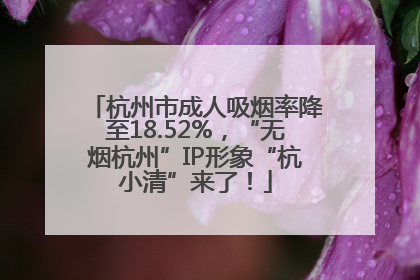 杭州市成人吸烟率降至18.52%，“无烟杭州”IP形象“杭小清”来了！