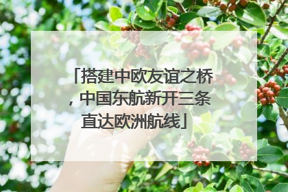 搭建中欧友谊之桥，中国东航新开三条直达欧洲航线