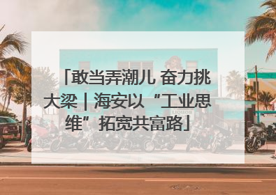 敢当弄潮儿 奋力挑大梁｜海安以“工业思维”拓宽共富路