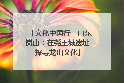 文化中国行｜山东岚山：在尧王城遗址探寻龙山文化