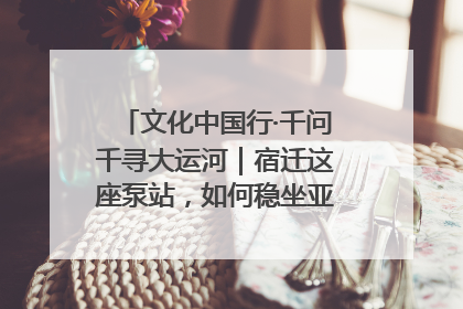 文化中国行·千问千寻大运河｜宿迁这座泵站，如何稳坐亚洲第一宝座？