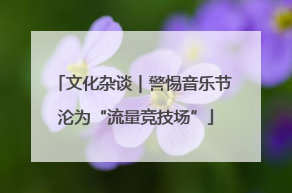 文化杂谈｜警惕音乐节沦为“流量竞技场”