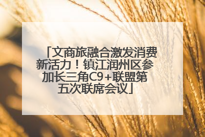 文商旅融合激发消费新活力！镇江润州区参加长三角C9+联盟第五次联席会议