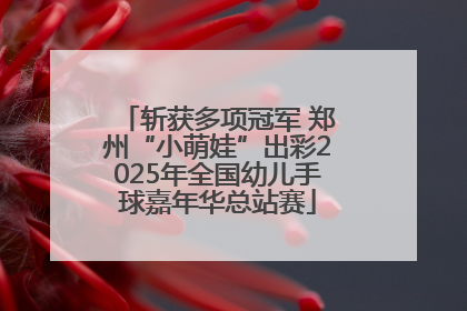 斩获多项冠军 郑州“小萌娃”出彩2025年全国幼儿手球嘉年华总站赛