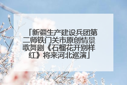 新疆生产建设兵团第二师铁门关市原创情景歌舞剧《石榴花开别样红》将来河北巡演