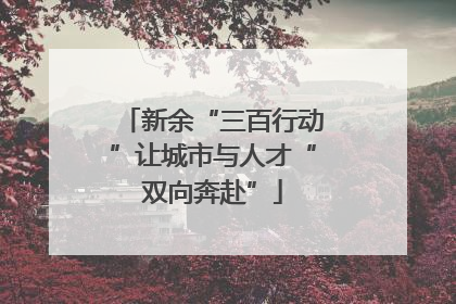 新余“三百行动”让城市与人才“双向奔赴”