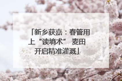 新乡获嘉：春管用上“读墒术” 麦田开启精准灌溉