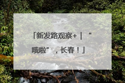 新发路观察+｜“哦啦”，长春！
