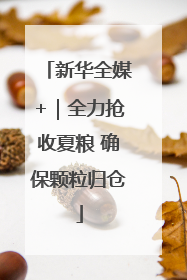 新华全媒+｜全力抢收夏粮 确保颗粒归仓