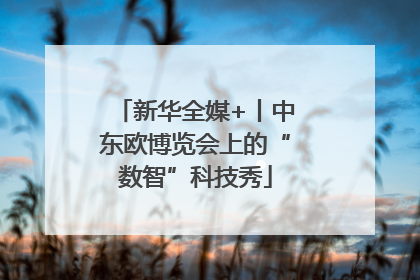 新华全媒+丨中东欧博览会上的“数智”科技秀