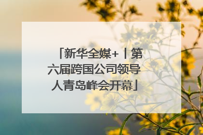 新华全媒+丨第六届跨国公司领导人青岛峰会开幕