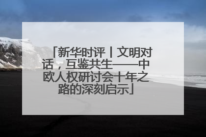 新华时评丨文明对话，互鉴共生——中欧人权研讨会十年之路的深刻启示