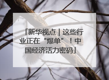 新华视点｜这些行业正在“爆单”！中国经济活力密码