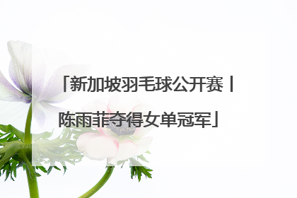 新加坡羽毛球公开赛丨陈雨菲夺得女单冠军