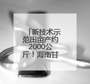 新技术示范田亩产约2000公斤！海南甘薯示范种植有好消息