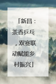 新昌：茶香乒乓，双赛联动赋能乡村振兴