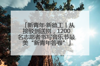 新青年·新德工丨从接驳到送别，1200名志愿者书写音乐节最美“新青年答卷”