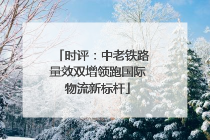 时评：中老铁路量效双增领跑国际物流新标杆
