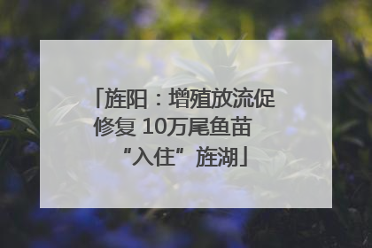 旌阳：增殖放流促修复 10万尾鱼苗“入住”旌湖