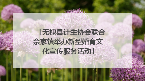 无棣县计生协会联合佘家镇举办新型婚育文化宣传服务活动