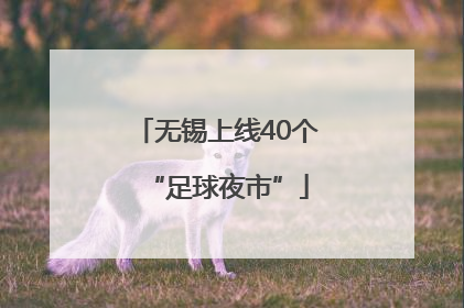 无锡上线40个“足球夜市”
