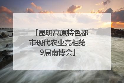 昆明高原特色都市现代农业亮相第9届南博会