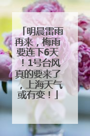 明晨雷雨再来，梅雨要连下6天！1号台风真的要来了，上海天气或有变！
