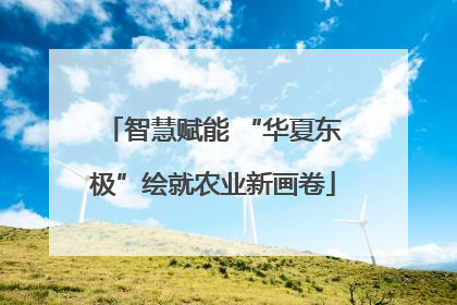 智慧赋能 “华夏东极”绘就农业新画卷
