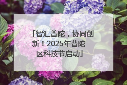 智汇普陀，协同创新！2025年普陀区科技节启动