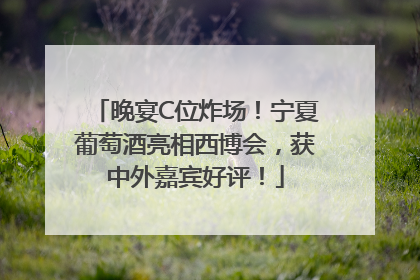 晚宴C位炸场！宁夏葡萄酒亮相西博会，获中外嘉宾好评！