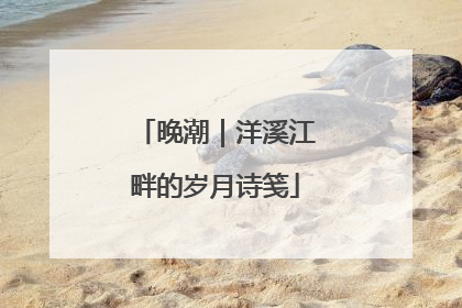 晚潮｜洋溪江畔的岁月诗笺
