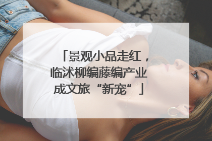 景观小品走红，临沭柳编藤编产业成文旅“新宠”