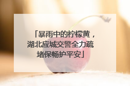 暴雨中的柠檬黄，湖北应城交警全力疏堵保畅护平安