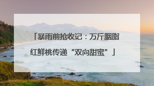 暴雨前抢收记：万斤胭脂红鲜桃传递“双向甜蜜”