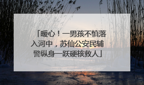 暖心！一男孩不慎落入河中，苏仙公安民辅警纵身一跃硬核救人