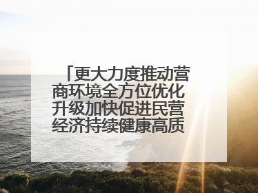 更大力度推动营商环境全方位优化升级加快促进民营经济持续健康高质量发展