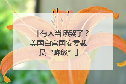 有人当场哭了？美国白宫国安委裁员“降级”