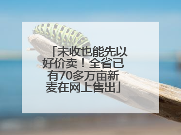 未收也能先以好价卖！全省已有70多万亩新麦在网上售出