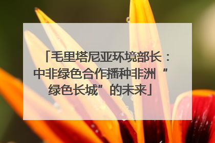 毛里塔尼亚环境部长：中非绿色合作播种非洲“绿色长城”的未来