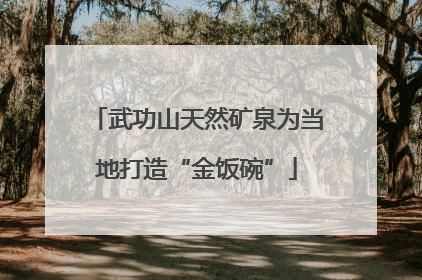 武功山天然矿泉为当地打造“金饭碗”