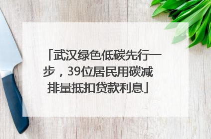 武汉绿色低碳先行一步，39位居民用碳减排量抵扣贷款利息